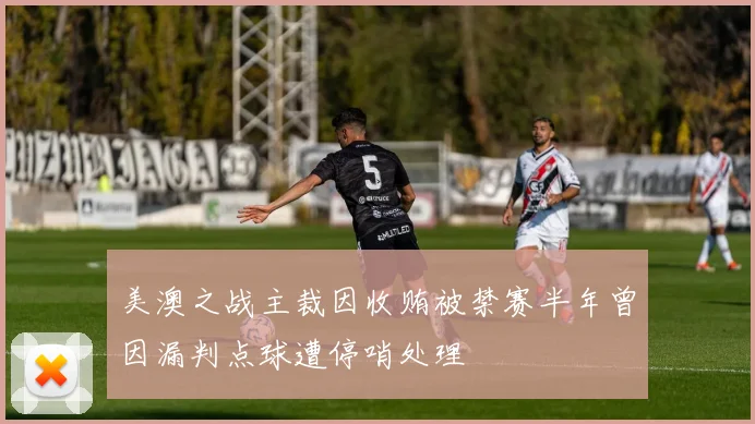 美澳之战主裁因收贿被禁赛半年曾因漏判点球遭停哨处理