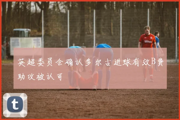 英超委员会确认多尔古进球有效B费助攻被认可